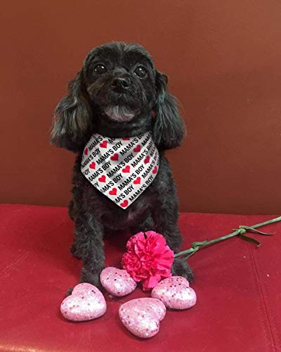 2 Pack Valentine's Dog Bandana, Puppy Valentine Scarfs for Small Dogs Cats