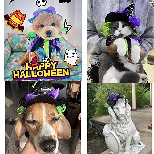 ANIAC Pet Halloween Costume Dog Cat Spider Witch Hat and Collar Set Puppy Magic Wizard Cap Holiday Party Cosplay Head Accessories Kitten Funny Topper Head wear (A)