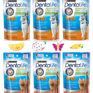 Aurora Pet Cat Treats Variety Pack (6) Dentalife Dental Treats Bundle: 3 Tasty Chicken, 3 Savory Salmon (1.8 oz Each) Plus AuroraPet Catnip Toy (Assorted)