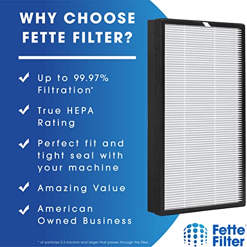 Fette Filter - HSP003 Air Purifier Filter Compatible with HSP003 Dual Filtration HEPA Air Purifier - Pack of 2