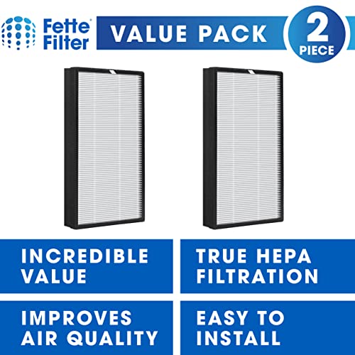 Fette Filter - HSP003 Air Purifier Filter Compatible with HSP003 Dual Filtration HEPA Air Purifier - Pack of 2