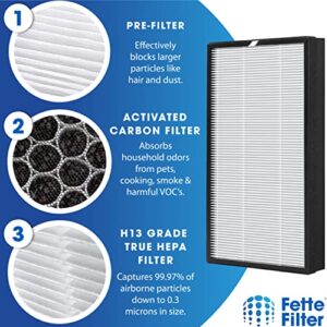 Fette Filter - HSP003 Air Purifier Filter Compatible with HSP003 Dual Filtration HEPA Air Purifier - Pack of 2