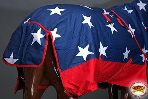 HILASON 600D Winter Waterproof Poly Miniature Horse Blanket US Flag - 42 Inches | Horse Blanket | Horse Blankets for Winter Waterproof | Horse Turnout Blanket | Horse Turnout