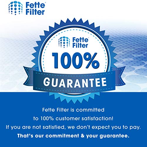 Fette Filter - Air Purifier Filter Replacement Compatible with Shark Air Purifier Models #'s HP100, HP102, HC450, HC451, HC452. Compare to part # HE1FKBAS & HE1FKBASMB (Pack of, 1)