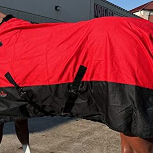 HILASON 600D Winter Waterproof Poly Pony Horse Blanket Red-56 Inches | Horse Blanket | Horse Blankets for Winter Waterproof | Horse Turnout Blanket | Horse Turnout