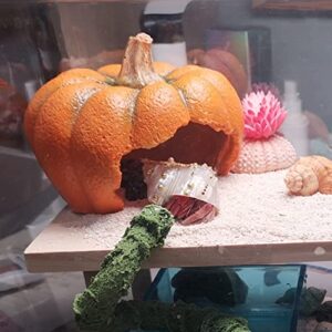 BNOSDM Reptile Hideouts Pumpkin House Resin Aquarium Decorations Chameleons Hideout Hut Habitat for Turtles Lizards Gecko Spider Chameleons