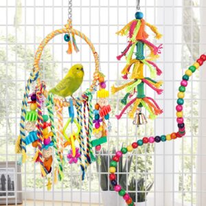 Bonjin Bird Parakeet Toys, Bird Swing Toy Bird Perch Colorful Chewing Toys, with Bells Hanging Toy Climbing Ladder Suitable for Budgerigar, Parakeet, Conure, Cockatiel, Mynah, Love Birds, Finches