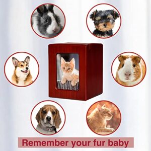 PCS Pet Urns for Cats, Cat Photo Urn, Pet Cremation Box, Cat Urn for Ashes, Urns for Cat Ashes Red-Small