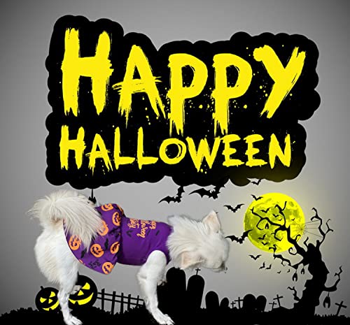 Dog Halloween Witch Dresses Costumes Puppy Skirts Apparel for Funny Pumpkin Head/Bat Party Dress Cosplay Halloween Costume for Small Medium Dogs Cats (Medium, Purple)