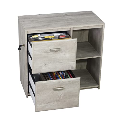 Saint Birch Elma 2-Drawer Modern Wood File Cabinet in Washed Gray