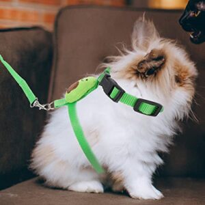 Ipetboom Bunny Harness and Leash: 1 Set Avocado Adjustable Small Pet Fruit Summer Outfit Costume for Rabbit Kitten Small Animal Hedgehog Ferret Piggies Squirrel Safety Walking Jogging