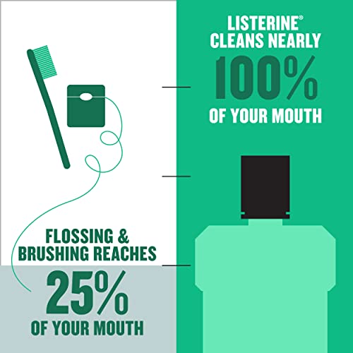 Listerine Freshburst Antiseptic Mouthwash for Bad Breath, Kills 99% of Germs That Cause Bad Breath & Fight Plaque & Gingivitis, ADA Accepted Mouthwash, Spearmint, 1 L, Pack of 2