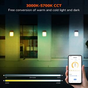 JJC 28W Smart Led Wall Pack Light, 3000K-5700K & RGB Security Lights Led Outdoor Lighting with APP Control,16 Million Color Changing Timing 2800 Lumen Dimmable 12 Dynamic Scenes by Bluetooth Control