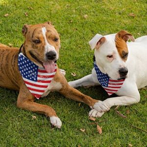 American Flag Pet Bandana Collar - USA Flag Scarf Collar - Patriot Dog Bandana (Small)