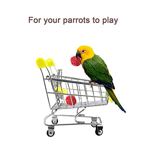 Toysructin Bird Training Toys, Bird Training Toy for Parrots Conures Parakeets, Parrot Intelligence Toy Mini Shopping Cart Basketball Stacking Rings Skateboard Stand Perch Bird Toy Set for Cockatiels