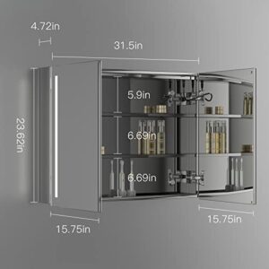 Seenvlog Medicine Cabinet with Lights,LED Medicine Cabinet for Bathroom with Defogger,Dimmer,Memory Function,2 Doors,23.62"* 31.5"Lighted Medicine Cabinet，Surface Mount, Stainless Steel