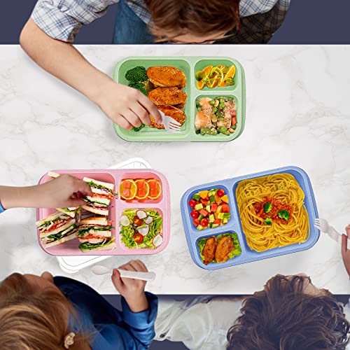 6 Pack Lunch Containers for Kids, 3 Compartment Bento Lunch Box, Reusable Food Storage Bento Box Meal Prep Containers for School, Work and Travel with Forks and Spoons