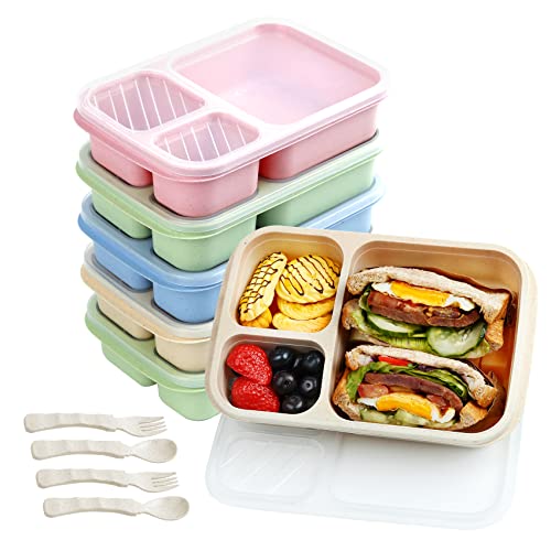 6 Pack Lunch Containers for Kids, 3 Compartment Bento Lunch Box, Reusable Food Storage Bento Box Meal Prep Containers for School, Work and Travel with Forks and Spoons