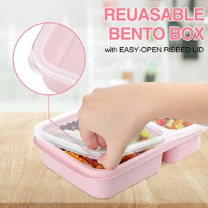 6 Pack Lunch Containers for Kids, 3 Compartment Bento Lunch Box, Reusable Food Storage Bento Box Meal Prep Containers for School, Work and Travel with Forks and Spoons