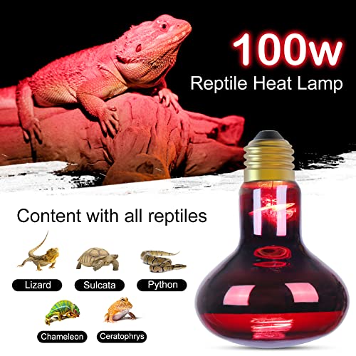 DGE Reptile Heat Lamp Bulb, 100 Watt Infrared Basking Spot Bulb of Bearded Dragon, Red Heat Lamp Bulbs for Reptiles and Amphibian Use, 2Packs