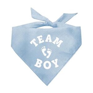 team boy gender reveal/baby announcement dog bandana (baby blue, os 821)