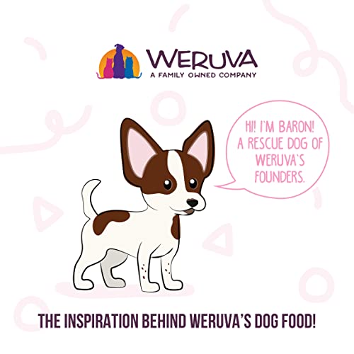 Weruva Dog Meals 'n More Natural Wet Dog Food, Belly Belly Nice! Digestive Support Variety Pack, 3.5oz Cup (10 Cups)