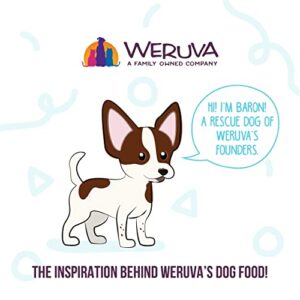 Weruva Dog Meals 'n More Natural Wet Dog Food, Woof Woof Floof! Skin & Coat Health Variety Pack, 3.5oz Cup (Pack of 10)