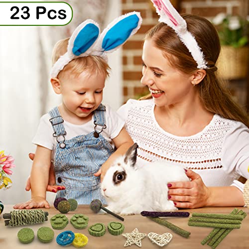 Rabbit Toys Guinea Pig Toys Bunny Toys 23PCS, Rabbit Chew Toys for Teeth Care, Natural No Strong Smell Timothy Hay Sticks Chew Treats and Balls for Bunny, Rabbit, Guinea Pig, Chinchilla, Hamster