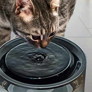 Ciays 67oz/2L Pet Water Fountain Automatic Cat Drinking Fountain Multi Filtration System Pet Water Fountain with LED Light and Filter for Cats and Small Dogs, Black (11104)