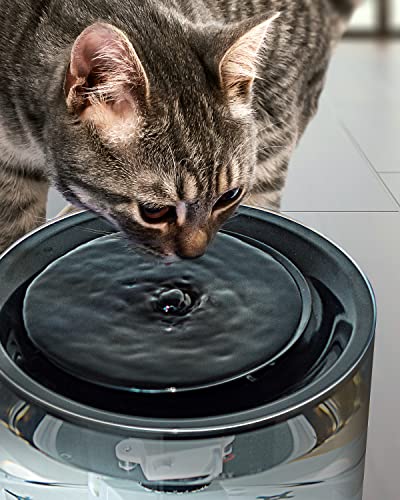 Ciays 67oz/2L Pet Water Fountain Automatic Cat Drinking Fountain Multi Filtration System Pet Water Fountain with LED Light and Filter for Cats and Small Dogs, Black (11104)