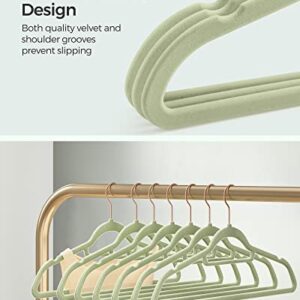 SONGMICS Velvet Hangers, Set of 50 Clothes Hanger with Rose Gold Swivel Hook, Non-Slip, and Space-Saving, 0.2-Inch Thick, 17.1-Inch Long for Coat, Shirt, Dress, Pants, Tie, Pale Green UCRF021GR50