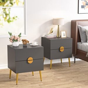 Tribesigns Nightstands Set of 2, Mid-Century Modern Nightstand with 2 Drawers, Bedside Tables with Champagne Metal Legs, End Table for Bedroom