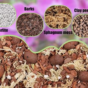 O-FarFarm Orchid Potting Mix 1 qt, Mixture of Orchid Bark, Perlite, Clay Pebble, and Sphagnum Moss, Premium Grade Recipe for Proper Root Development, Fits for Phalaenopsis, Cattleyas, Dendrobiums etc