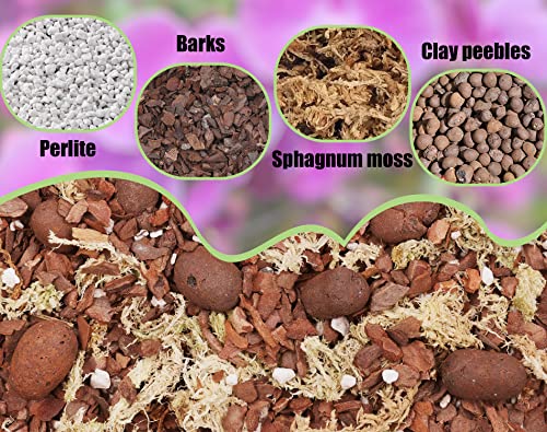 O-FarFarm Orchid Potting Mix 1 qt, Mixture of Orchid Bark, Perlite, Clay Pebble, and Sphagnum Moss, Premium Grade Recipe for Proper Root Development, Fits for Phalaenopsis, Cattleyas, Dendrobiums etc