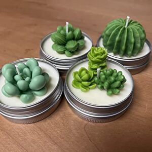 Navani Succulent Silicone Mold, Cactus Resin Mold, Candle Mold Silicone for DIY Handmade Soap, Candle, Cake Decoration - 9 Pcs