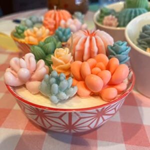 Navani Succulent Silicone Mold, Cactus Resin Mold, Candle Mold Silicone for DIY Handmade Soap, Candle, Cake Decoration - 9 Pcs