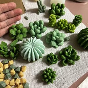 Navani Succulent Silicone Mold, Cactus Resin Mold, Candle Mold Silicone for DIY Handmade Soap, Candle, Cake Decoration - 9 Pcs