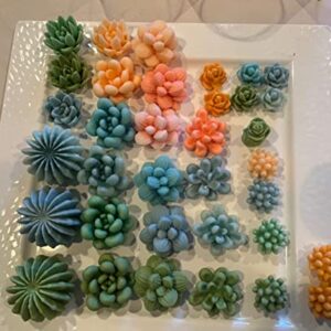 Navani Succulent Silicone Mold, Cactus Resin Mold, Candle Mold Silicone for DIY Handmade Soap, Candle, Cake Decoration - 9 Pcs