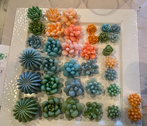 Navani Succulent Silicone Mold, Cactus Resin Mold, Candle Mold Silicone for DIY Handmade Soap, Candle, Cake Decoration - 9 Pcs