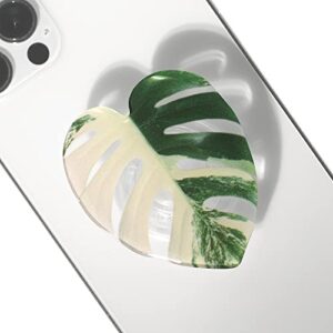 commonkunst tropical rare leaf plant multi functional collapsible expandable mobile phone grip & kicktand (albo monstera)