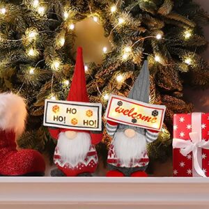 Mocoosy 2 Pack Lighted Christmas Gnome Plush Decorations, Handmade Swedish Tomte Gnome Ornaments with LED, Light Up Scandinavian Santa Elf Dolls Nordic Figurine for Holiday Xmas Table Tray Decor