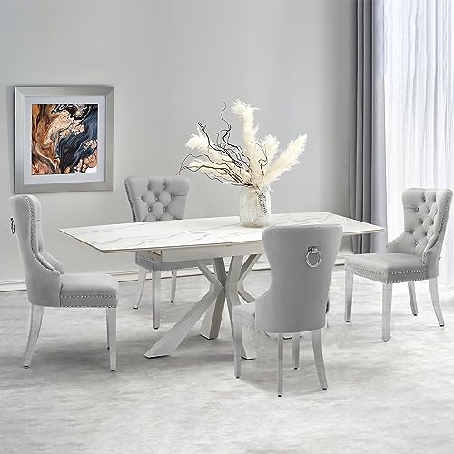 Creek Vista Velvet Dining Chairs Set of 2, Upholstered Tufted Dining Room Chairs, Stylish Stainless Steel Legs Chairs for Dining Room with Ring Pull, Grey