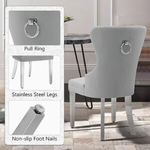 Creek Vista Velvet Dining Chairs Set of 2, Upholstered Tufted Dining Room Chairs, Stylish Stainless Steel Legs Chairs for Dining Room with Ring Pull, Grey