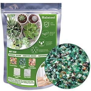 halatool 4lb green pebbles 0.35"- 0.6" natural aquarium gravel for fish tank decorations small succulent rocks for indoor outdoor plants landscaping vase filler