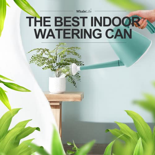 Watering Can for Indoor and Outdoor Plants 1/2 Gallon Plastic, Long Spout with Detachable Shower Spray Head, Water Can for Plants, Garden, Flower, Office(2.0L Blue) by WhaleLife