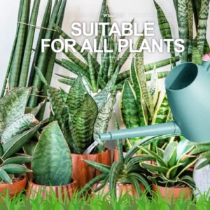 Watering Can for Indoor and Outdoor Plants 1/2 Gallon Plastic, Long Spout with Detachable Shower Spray Head, Water Can for Plants, Garden, Flower, Office(2.0L Blue) by WhaleLife