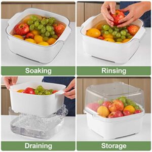 HNNJCK 8.2 Quart Kitchen Colanders Bowl Set, Fruit Vegetable Washing Basket, 2 in 1 Food Fruit Strainers, Large Plastic Double Layered Strainer Basket for Pasta, Spaghetti, Berry, Salads, BPA Free