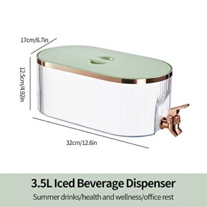 SIXAQUAE iced beverage dispenser,iced Juice Lemonade Dispenser For Party Daily Use, Milk Dispenser For Fridge GREEN.