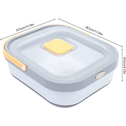 Cereal Rice Food Storage Containers, 20 Lbs Cereal Storage Container Bin with Lid, Dog Cat Pet Food Storage Container Leakproof Sealable Dry Holder for Dry Food Rice Flour Bean Grain