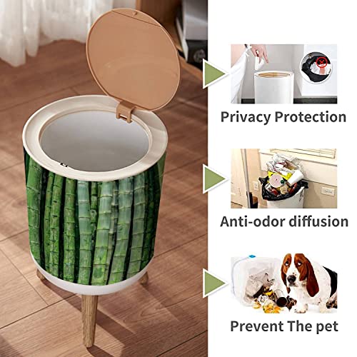 LGCZNWDFHTZ Small Trash Can with Lid for Bathroom Kitchen Office Diaper Deep Green Bamboo Forest Closeup Bedroom Garbage Trash Bin Dog Proof Waste Basket Cute Decorative